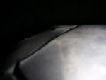 dead carcus top profile.jpg