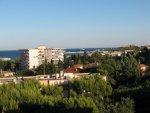 view from my balcony.jpg