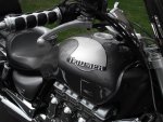 Rocket 2011 Scallops 2.JPG