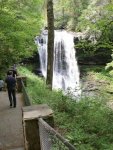 to the falls.jpg