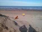 IMG_20141110_120707.jpg