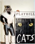 Cats.jpg