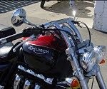 7797_3.jpg