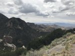 IMG_1098.JPG