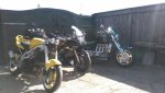 the stable3.JPG
