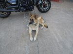 IMG_0374.JPG IMG_0374.JPG