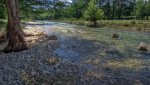 frio_river_6687_8_9.jpg