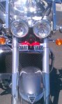 Front Horns Close (1).jpg