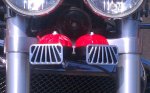 Front Horns Closest.jpg