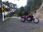 IMG_20131117_150220.jpg