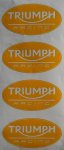 Triumph Racing Paint Mask.jpg