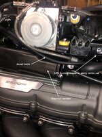 IMG_6575.jpeg IMG_6575.jpeg