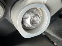 BOLT (1).PNG