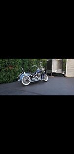 softail 2.jpg