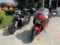 IMG-8655.jpg