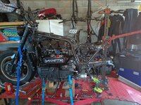 IMG_20220227_132226.jpg