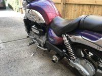 IMG_0493.jpeg