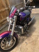 IMG_1049.jpeg