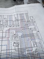 IMG_0011.jpeg
