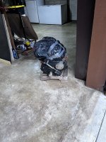 IMG_0212.jpeg