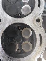 IMG_0241.jpeg