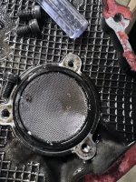 IMG_0266.jpeg