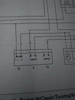 IMG_1185.jpeg