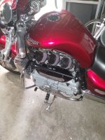 IMG_20230821_173804302.jpeg