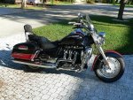 Triumph8by6.jpg
