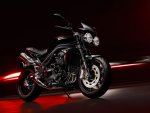 2009-Triumph-SpeedTriple-15thAnniversaryEditiona.jpg