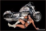 bike model1.jpg