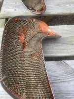 IMG_0418.jpeg