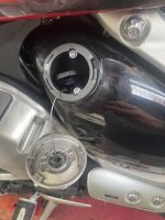 IMG_2408.jpeg