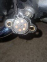20250320_060229.jpg