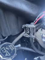 IMG_5016.jpeg