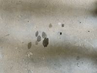 1753551209971.png