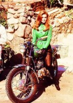 Swinger Bike large.jpg