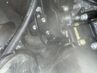 IMG_4342.jpeg