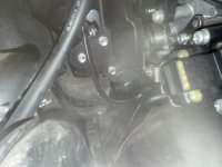 IMG_4343.jpeg