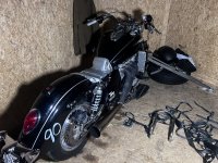IMG_6030.jpeg