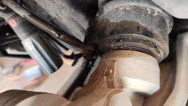 WhatsApp-Kuva 2025-04-01 klo 14.52.37_cc121a9a.jpg