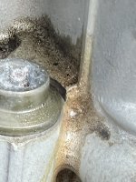 IMG_2228.jpeg