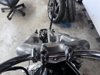 IMG_7782.jpeg