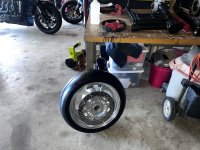 IMG_7784.jpeg