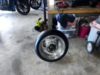 IMG_7785.jpeg