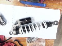 IMG_7906.jpeg