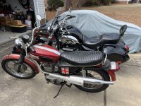 IMG_1810 (1).jpeg