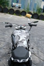 DSCF0782.JPG.jpeg