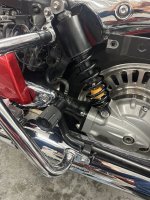 IMG_3803.jpeg