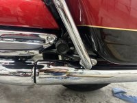 IMG_3805.jpeg